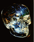 pic for Cristall Skull